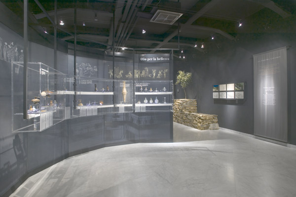 olio di oliva, museo dell'olivo, Imperia