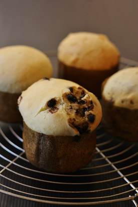 panettone glutinato, celichia, natale, senza glutine, gluten free, panettone,